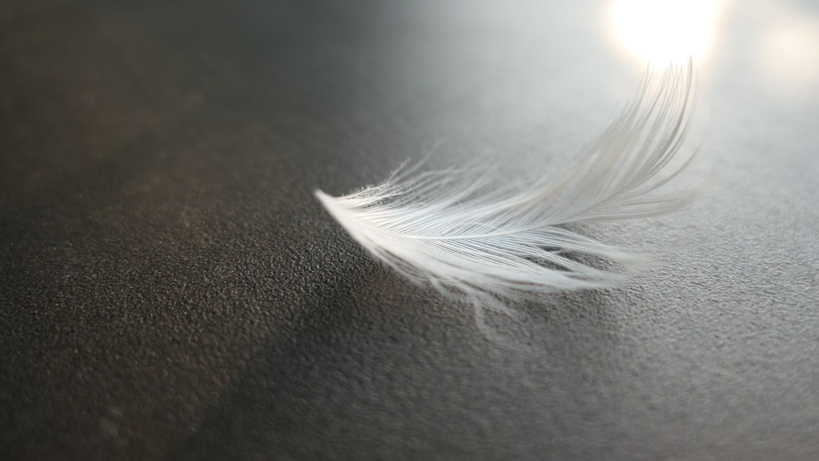 Keeping immersive pages light - balancing richness and performance